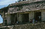 PALENQUE. Il Palacio con la vasta scalinata del lato ovest e la torre, utilizzata forse per osservazioni astronomiche