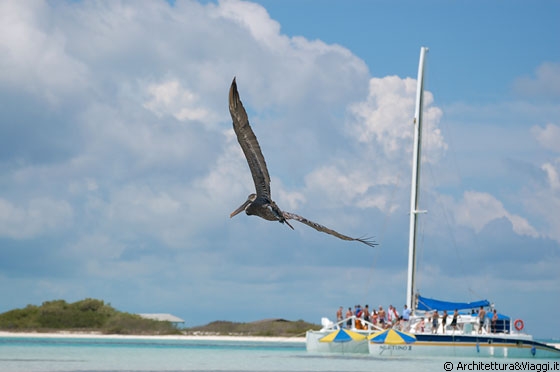 LOS ROQUES - Escursioni guidate a Los Roques