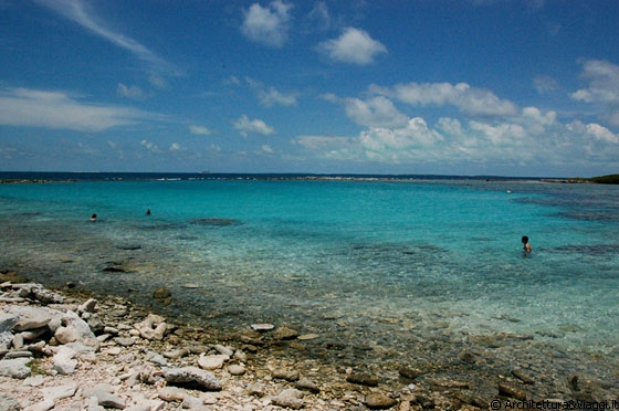 FRANCISQUI' DEL MEDIO - La piscina naturale