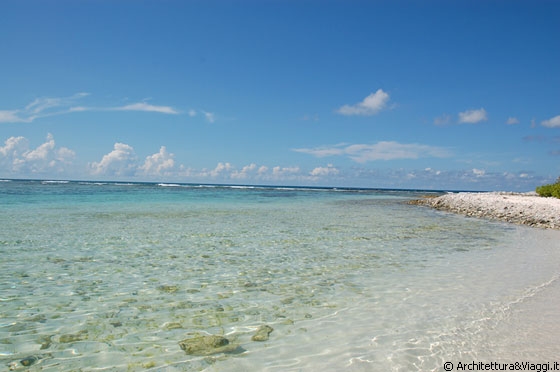 LOS ROQUES - Noronquises - dove si possono vedere le tartarughe marine