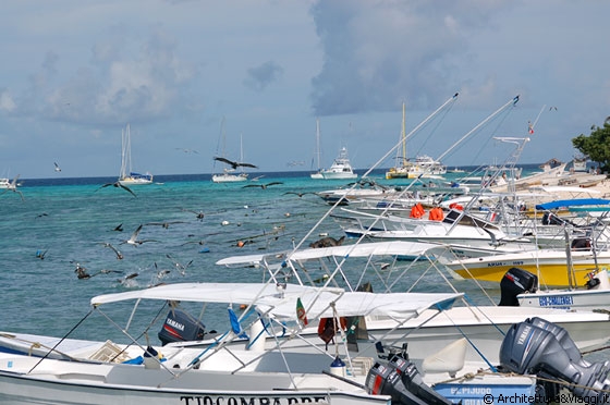 GRAN ROQUE - Barche di ogni tipo e pellicani che svolazzano intorno in cerca di cibo