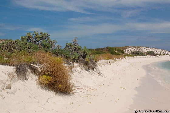 CAYO DE AGUA - Il clima caldo consente solo un lieve sviluppo della vegetazione