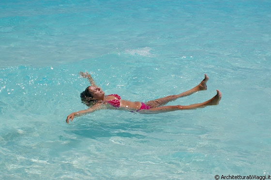 CAYO DE AGUA - Sole, mare, relax, nuoto in acque cristalline e incontaminate tra i pellicani che pescano e le gabbianelle che si autoinvitano a pranzo