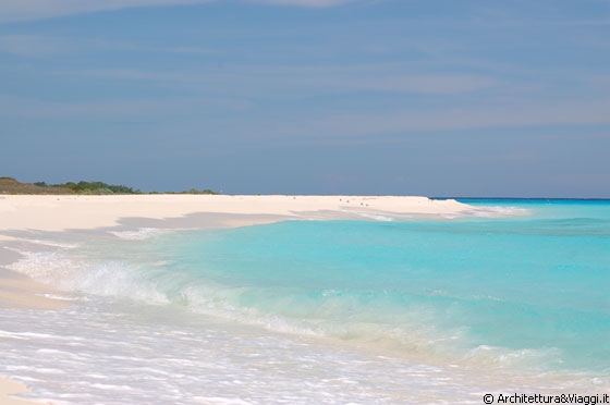 CAYO DE AGUA - Cosa fare a Los Roques