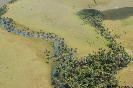 PARCO NAZIONALE DI CANAIMA - Le verdeggianti pianure della Gran Sabana