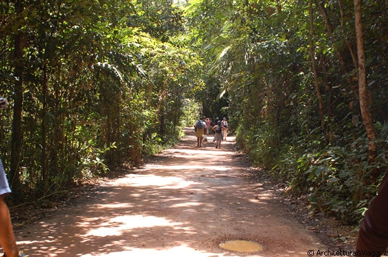 PARCO NAZIONALE DI CANAIMA - Attraverso questo meraviglioso parco raggiungiamo a piedi Ucaima, il punto in cui ci attendono le canoe a motore per portarci al Salto Angel