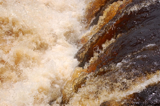 PARCO NAZIONALE DI CANAIMA - La colorazione della laguna è dovuta al tannino, un composto presente nelle piante della zona