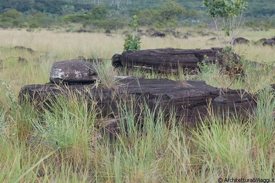 PARCO NAZIONALE DI CANAIMA - Rocce 