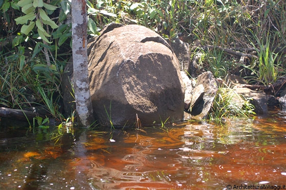 PARCO NAZIONALE DI CANAIMA - Ripresa la barca ci fermiamo alla cascatella chiamata Pozo de la Felicidad