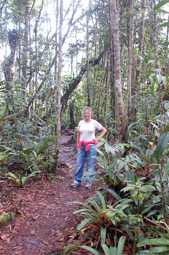 PARCO NAZIONALE DI CANAIMA - Arrivati all'accampamento ci facciamo una doccia e ci cambiamo e poi raggiungiamo il mirador proprio di fronte al Salto Angel
