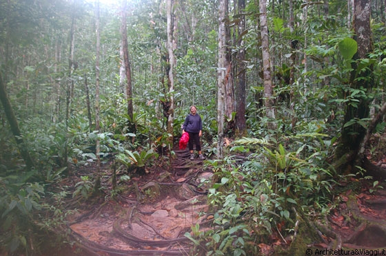 SALTO ANGEL - Da Isla Ratoncito raggiungiamo a piedi il Mirador Laime