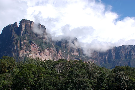 VERSO CANAIMA - Dopo pranzo riprendiamo la barca per tornare a Canaima e durante il tragitto in barca ci gustiamo il paesaggio