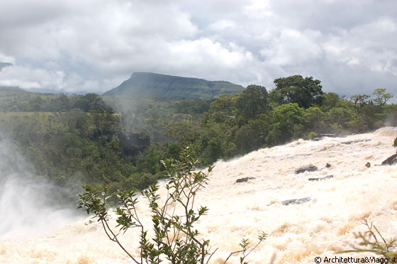 PARCO NAZIONALE DI CANAIMA - Salto El Sapo visto dalla parte superiore