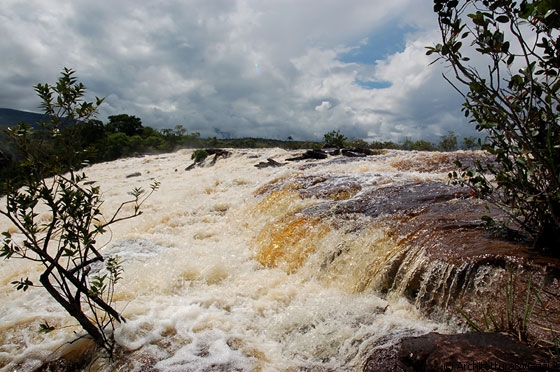 SALTO EL SAPO - La laguna e i fiumi che l'alimentano hanno un colore molto particolare dovuto al tannino, un composto presente nelle piante della zona