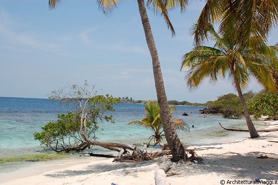 PARQUE NACIONAL MORROCOY - Playuela