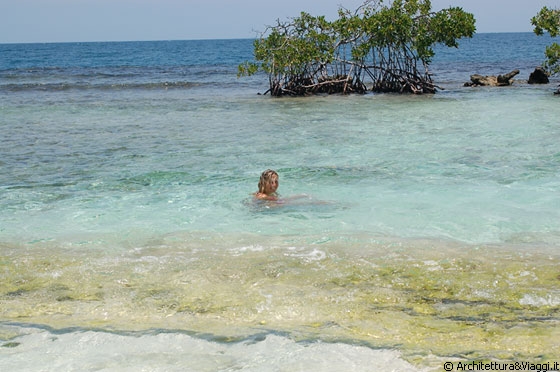 PARCO NAZIONALE MORROCOY - Io a mollo nelle acque cristalline di Playuela