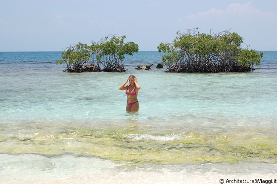 PARCO NAZIONALE MORROCOY - I cayos da Chichiriviche e il Paseo di Morrocoy