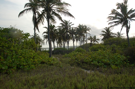 PARQUE NACIONAL MORROCOY - E' fine giornata a Cayo Sombrero