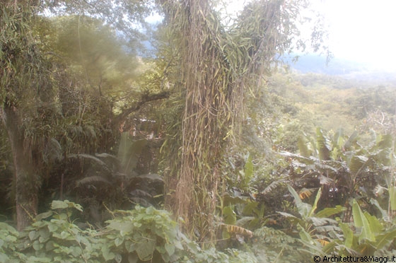 PARQUE NACIONAL HENRI PITTIER - Dal bus verso Puerto Colombia ci godiamo il panorama del parco - impossibile scattare buone foto, troppo curve 