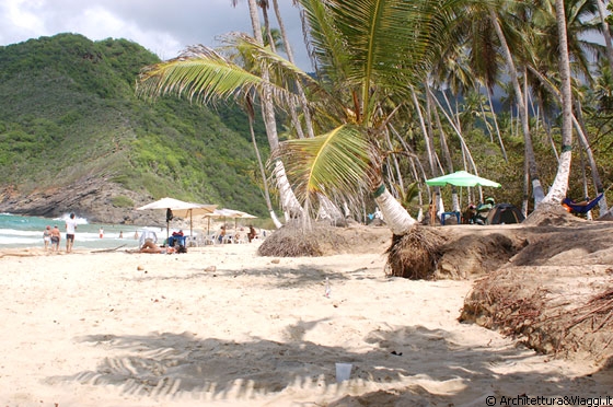 PLAYA GRANDE - Relax e onde energizzanti 
