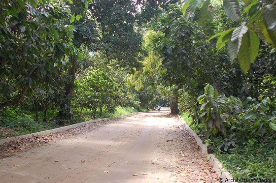 PARCO NAZIONALE HENRI PITTIER - Verso Chuao - il bellissimo e verde sentiero di 4 chilometri all'interno del parco