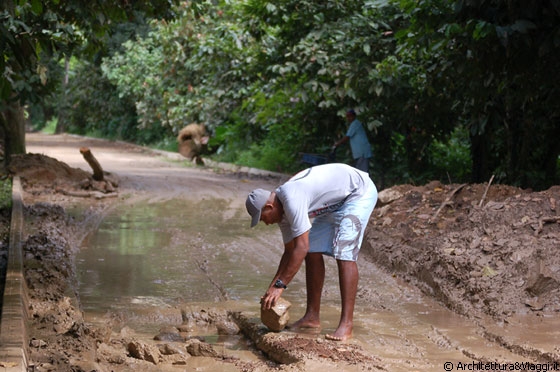PARQUE NACIONAL HENRI PITTIER - Verso Chuao - lungo il tragitto gli autisti del bus si fermano a risistemare le buche per strada