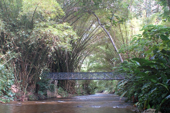VERSO CHUAO - Questo fiume ci è apparso così rilassante
