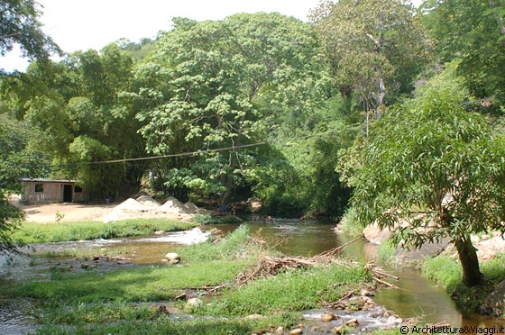 PARCO NAZIONALE HENRI PITTIER - Dopo Chuao la vegetazione appare maestosa e rigogliosa: qui si incontrano il Rio del Medio e il Rio Tamaira