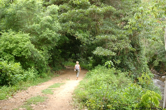 PARQUE NACIONAL HENRI PITTIER - Itinerari all'interno del parco