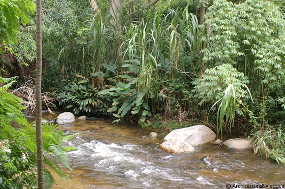 PARCO NAZIONALE HENRI PITTIER - Il fiume, l'acqua, la vita e la natura fertile e rigogliosa