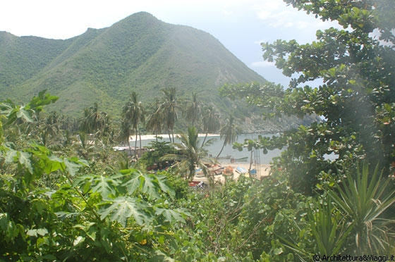 PARCO NAZIONALE HENRI PITTIER - Venezuela significa letteralmente 'piccola Venezia'