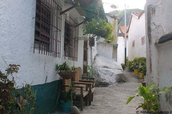 PARCO NAZIONALE HENRI PITTIER - Le strette viuzze, così caratteristiche, all'interno della'area protetta di Choronì