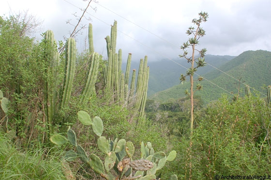 PUERTO COLOMBIA - Il clima del Venezuela è tropicale 
