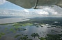 GUAYANA. Ci gustiamo il panorama della regione del Basso Orinoco dall'alto del nostro aereo ultraleggero