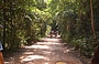 PARCO NAZIONALE DI CANAIMA. Attraverso questo meraviglioso parco raggiungiamo a piedi Ucaima, il punto in cui ci attendono le canoe a motore per portarci al Salto Angel