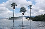 LAGUNA DI CANAIMA. La laguna è un luogo di straordinaria bellezza e quiete