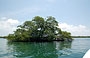 PARCO MARINO DI MORROCOY. Questo parco marino caraibico ha una bellissima vegetazione 