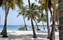 PARCO NAZIONALE MORROCOY. All'ombra delle alte palme della spiaggia di Playuela