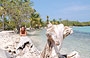 BOCA SECA. Francesco si diverte a fotografarmi mentre mi concedo questo bagno di sole adagiata sul tronco d'albero in riva al mare