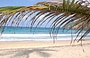 MAR DEI CARAIBI. All'ombra delle palme di Playa Grande