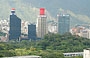 CARACAS. Dalla terrazza della Biblioteca, vista sui grattacieli della zona di Plaza Venezuela ed in primo piano l'ampia zona verde del Jardin Botanico