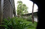 UCV CARACAS. Dai trafori dell'atrio della Facultad de Humanidades y Educacìon sbirciamo nel patio interno ricco di piante che completano l'ambiente