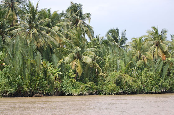 VERSO IL DELTA DEL MEKONG - Fiumi melmosi e rigogliosa vegetazione