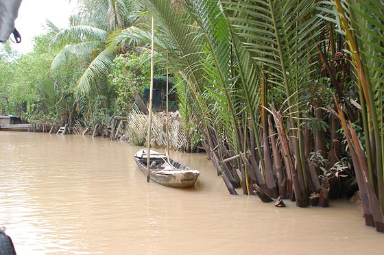 DELTA DEL MEKONG - La caratteristica vegetazione dei canali di Ben Tre 