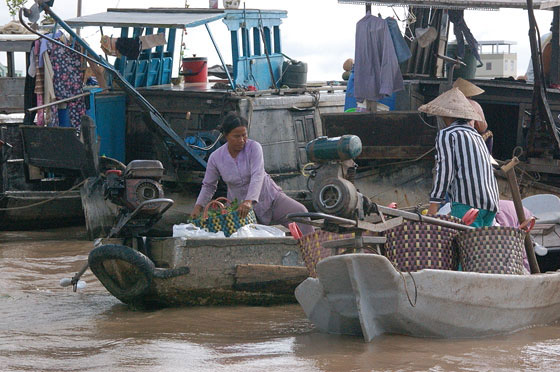 DELTA DEL MEKONG - Mercato galleggiante di Cai Rang: donne indaffarate