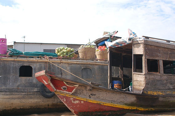 DELTA DEL MEKONG - Nella fertile pianura alluvionale del delta si coltivano frutta, ortaggi, riso