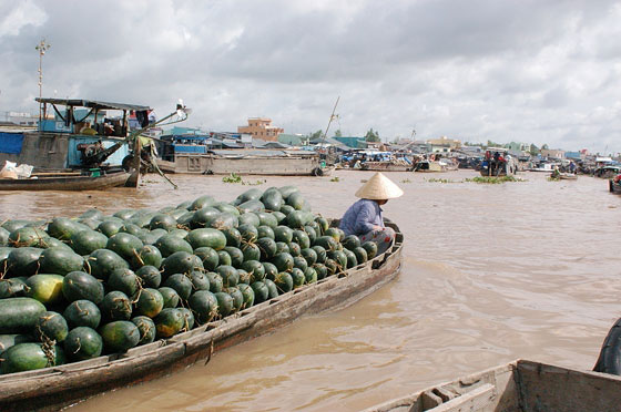 CAI RANG - Questa imbarcazione oblunga trasporta un cospicuo carico di angurie