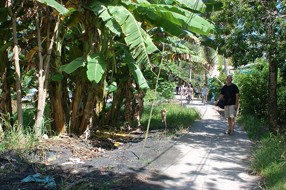 DELTA DEL MEKONG - I banani ombreggiano il delizioso percorso bucolico