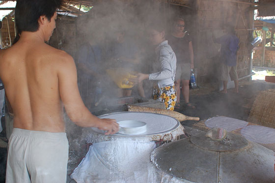 DELTA DEL MEKONG - Le procedure per realizzare la 