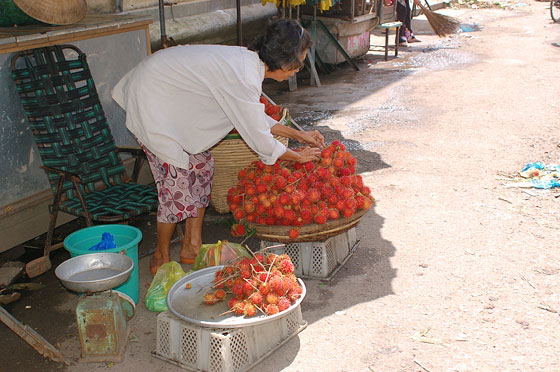 CAI RANG - Una donna sistema i rambutan (ngaw) 